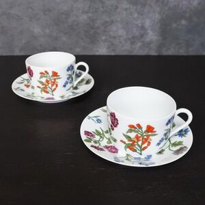 Vintage 70s Porcelaine de Paris Limoges Decor Herbier Coffee Tea Cup Saucer Set